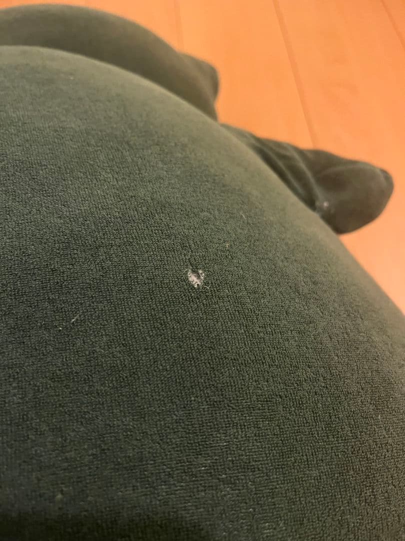 レア　ポケパーク大きなカビゴンぬいぐるみ