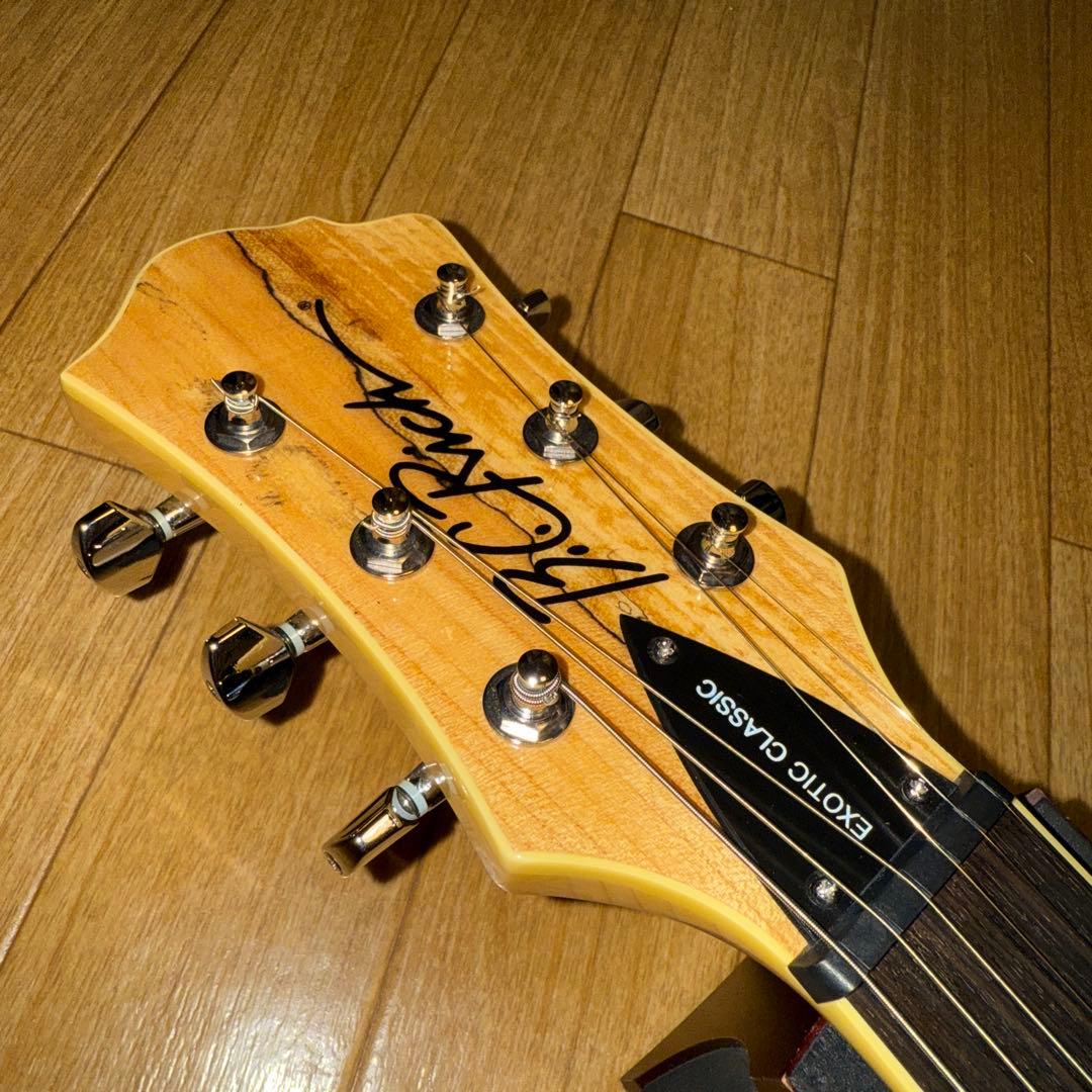 B.C.Rich EXOTIC CLASSIC BICH 純正 ギグバッグ 付き