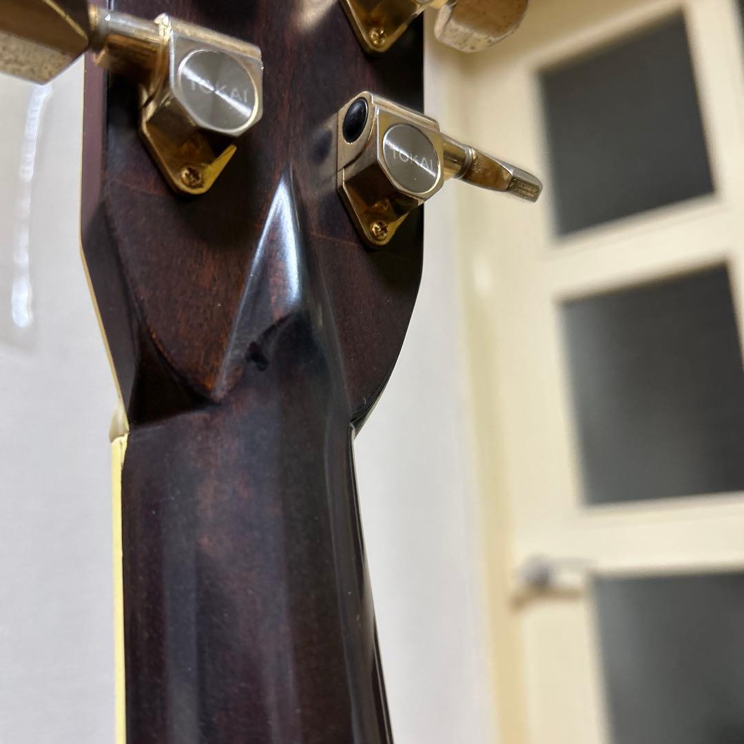 Cat's Eyes CE-500 大文字ロゴ　アコースティックギター