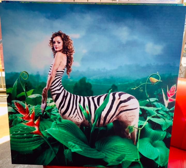 Okay 馬　しまうま　絵画