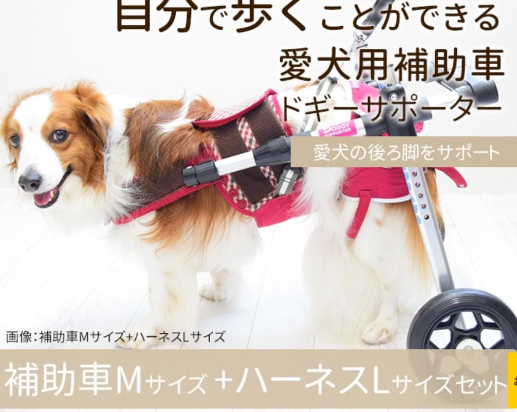 歩行補助車 ドギーサポーター 補助車Mサイズ+ハーネスLサイズセット