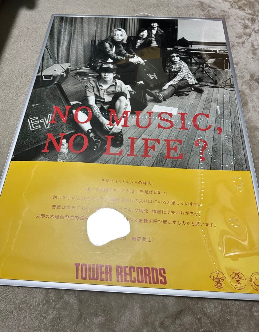 the HIATUS タワーレコード　ポスター