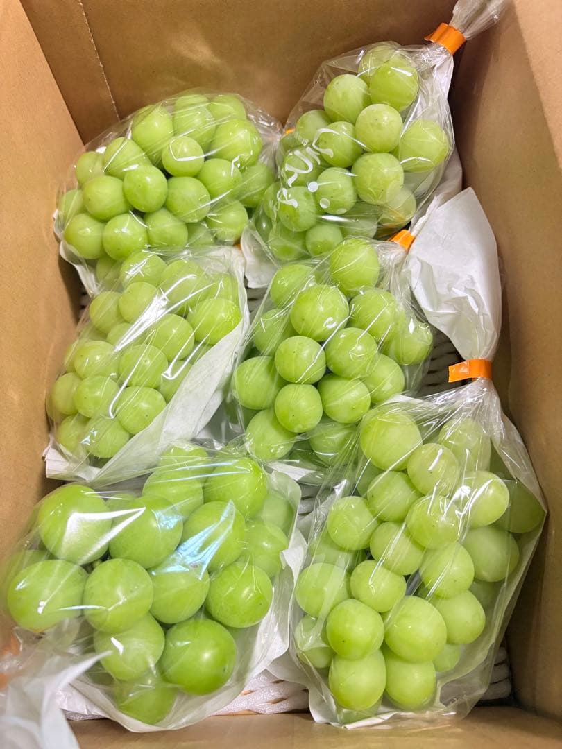 りっちゃん　クイーン、シャイン