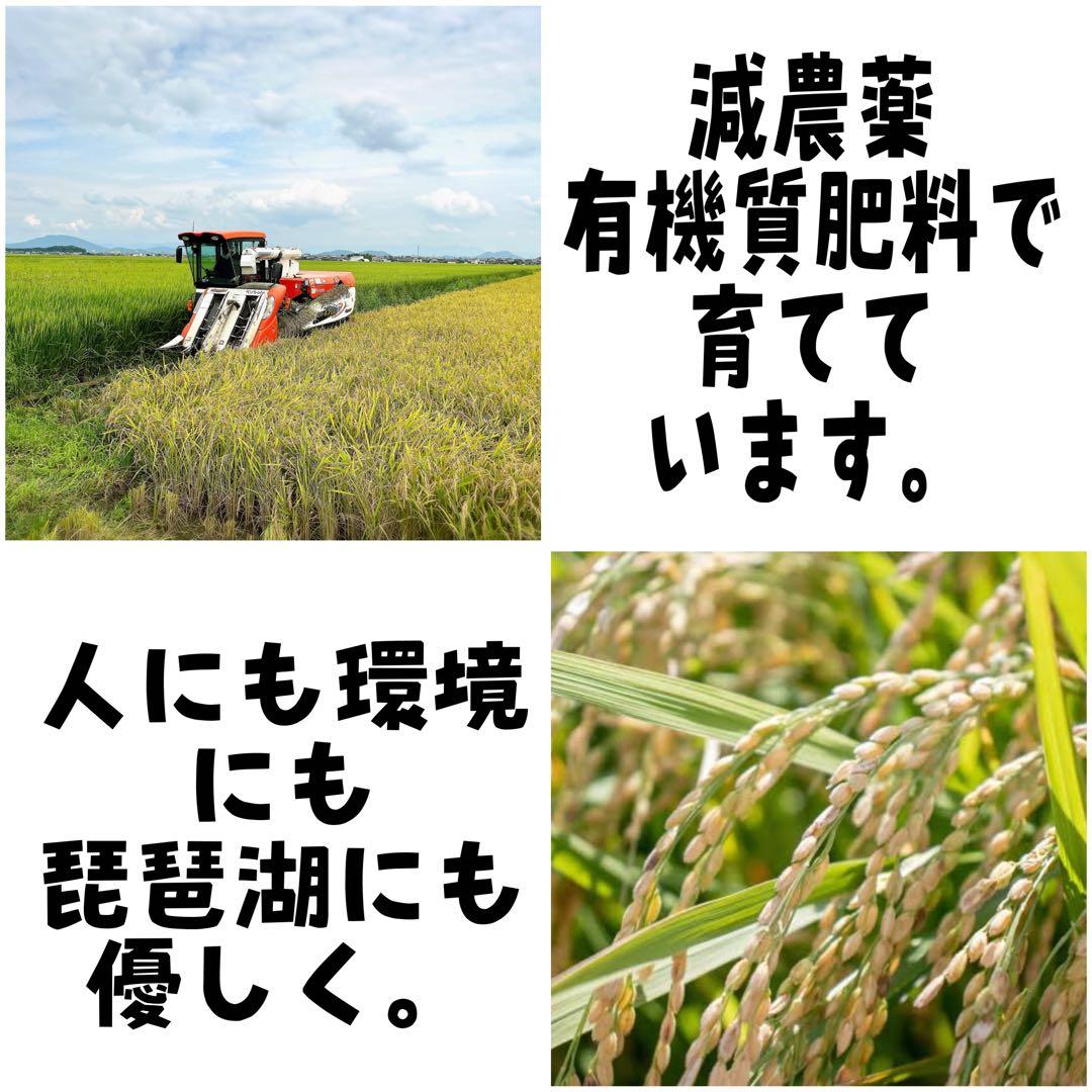 【令和7年度新米】近江米 ミルキークイーン 5kg +コシヒカリ 5kg
