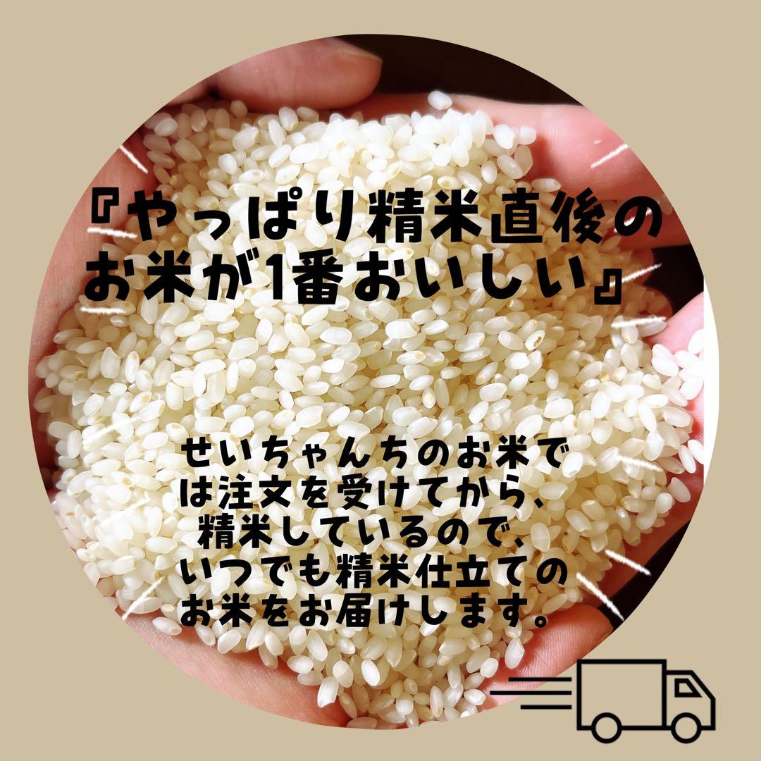 【令和7年度新米】近江米 ミルキークイーン 5kg +コシヒカリ 5kg