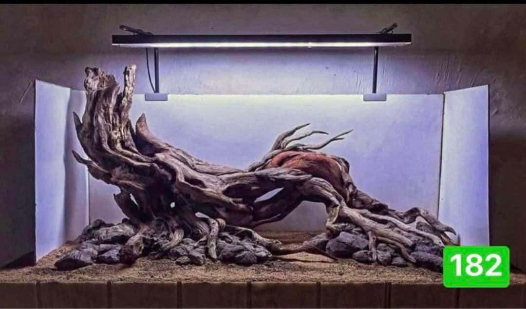 水槽用流木 流木 ブランチウッド 。アクアリウム　パルダリウム　マシンガンウッド