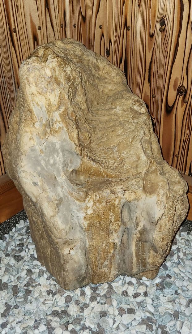 珪化木 木化石 パワーストーン オブジェ 置物 化石 大型 希少