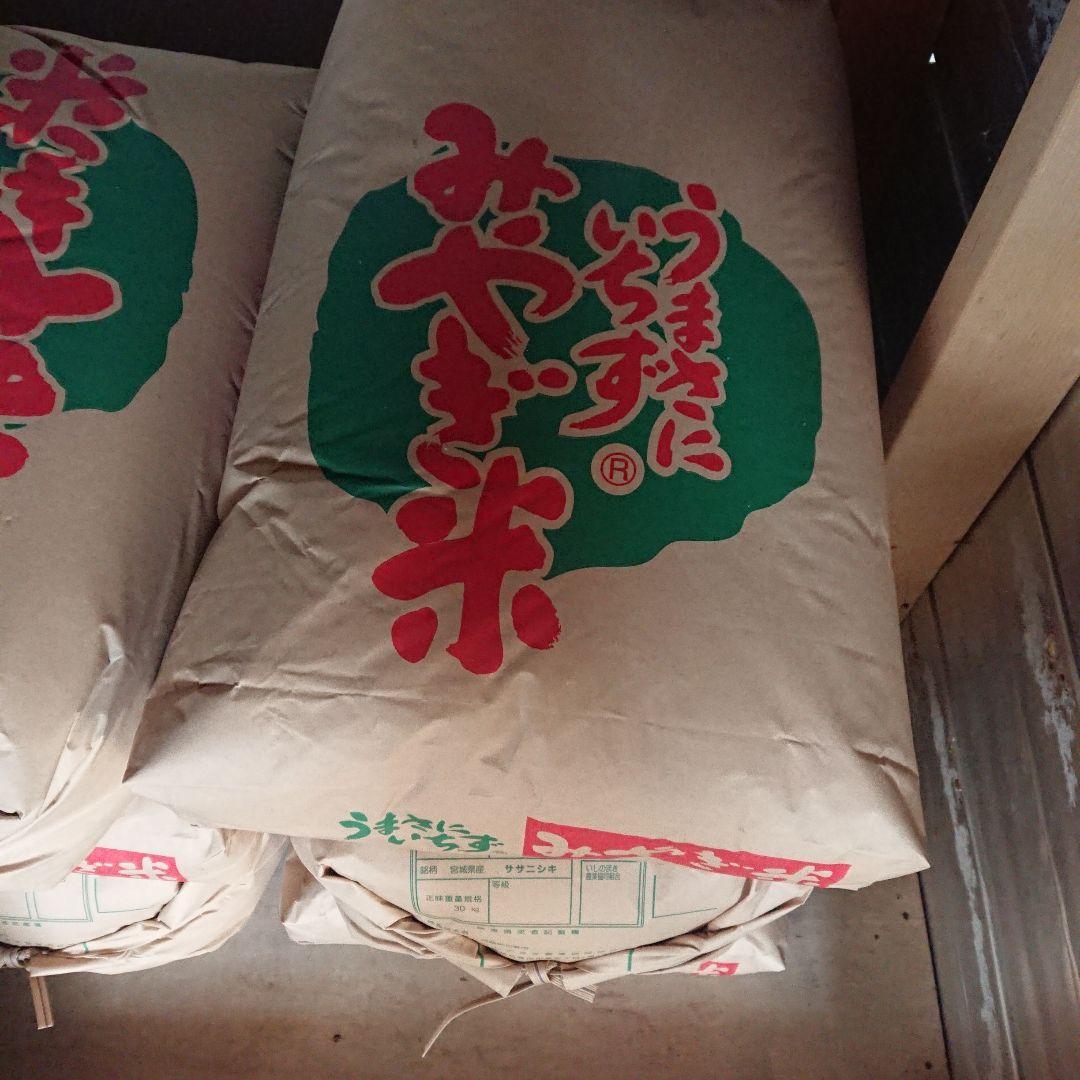 ササニシキ玄米 30kg