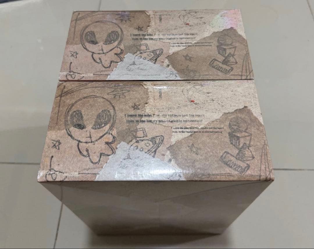 【POP MART】Hirono Echo ヒロノ エコー 2箱まとめ売り