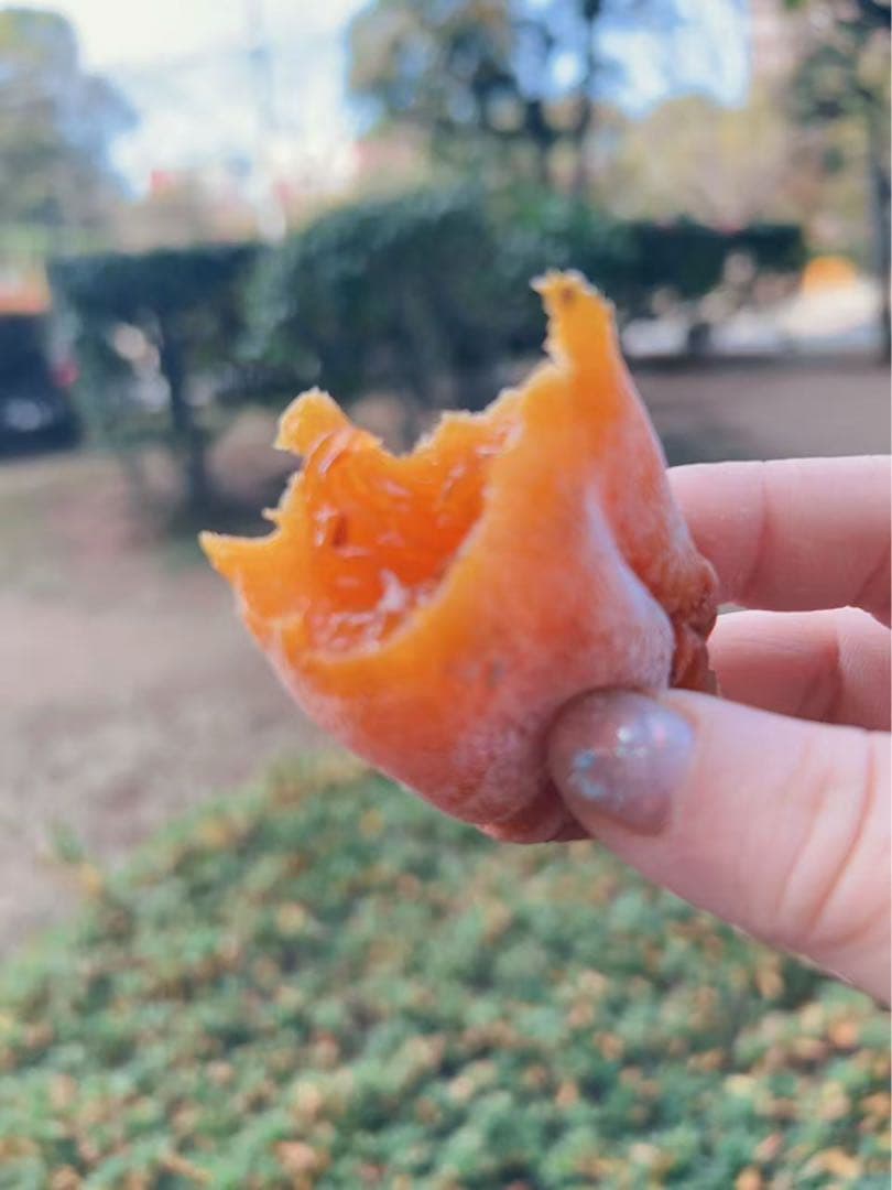 ‼️リピーター‼️干し柿　干柿　箱込み10kg