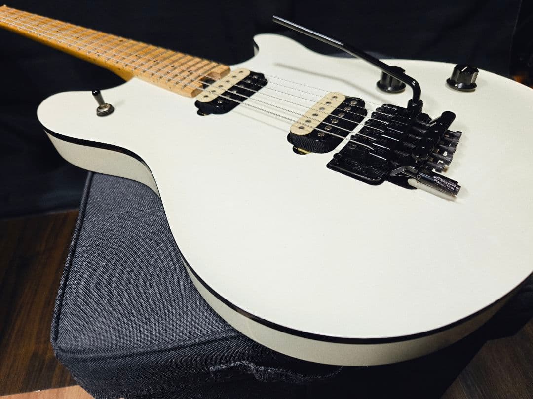 EVH Wolfgang Special エレキギター ソフトケース付