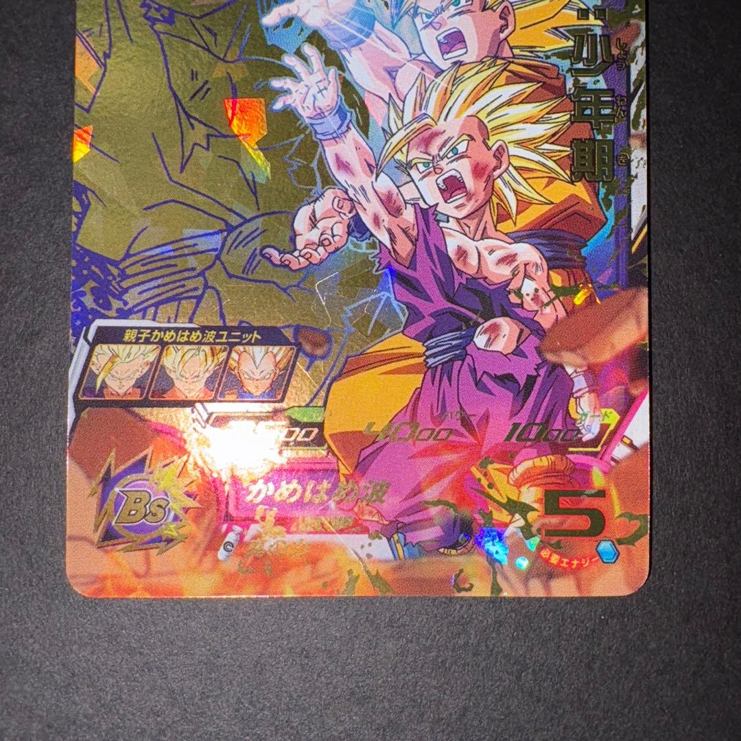 H2-16 P 孫悟飯少年期