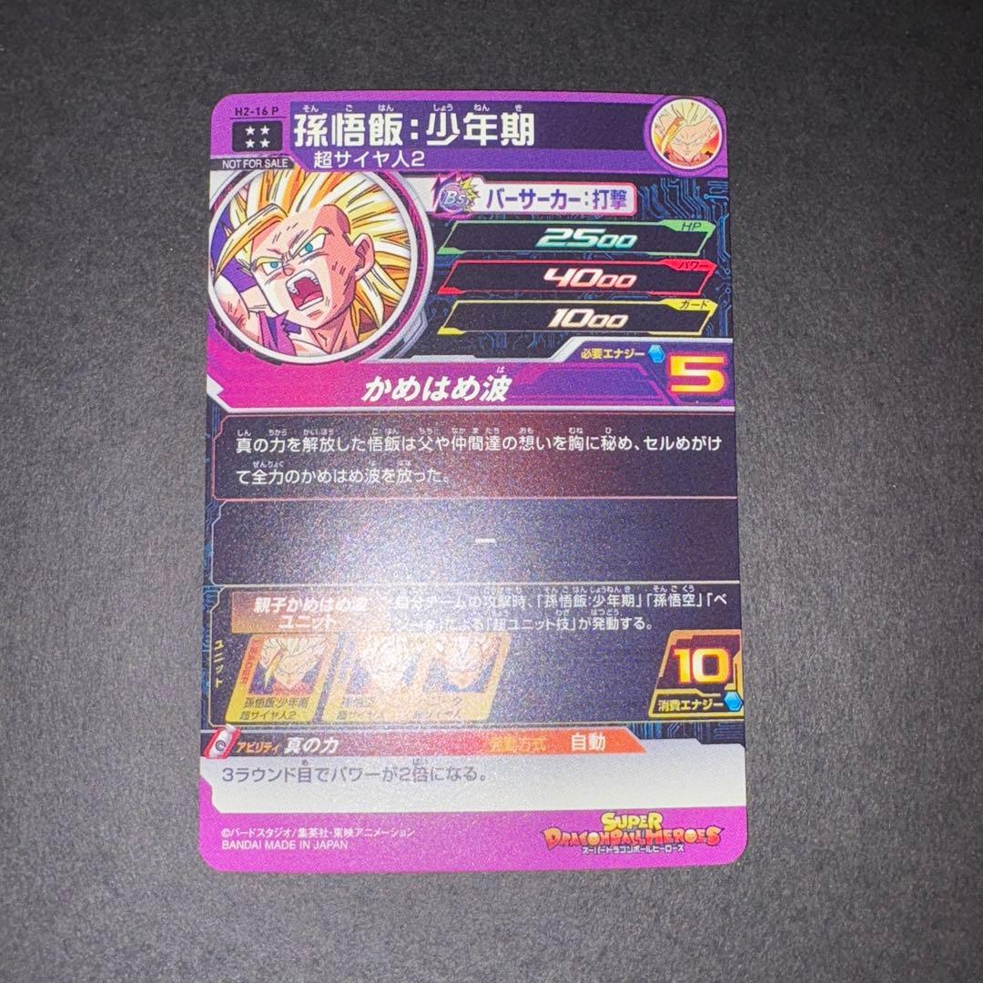 H2-16 P 孫悟飯少年期