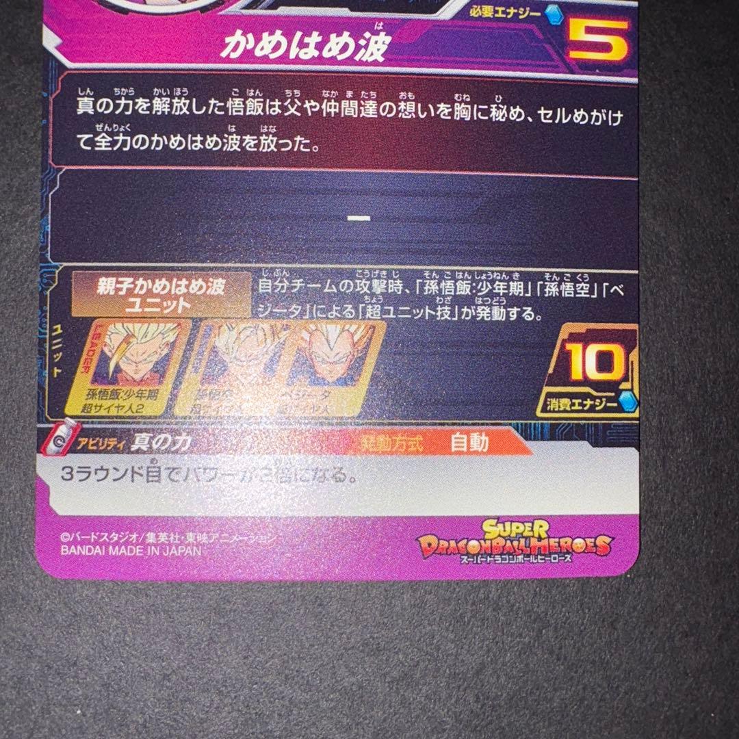 H2-16 P 孫悟飯少年期