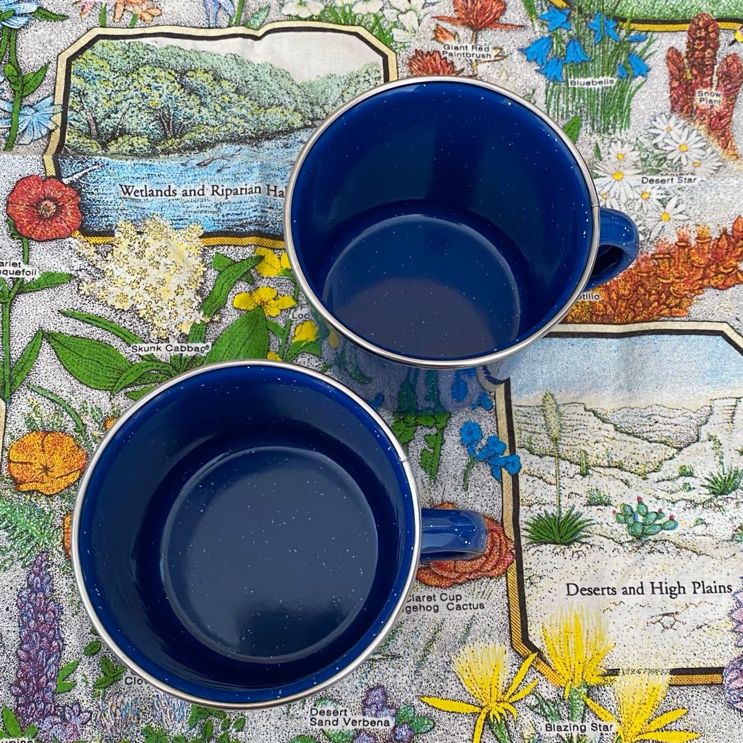 GSI ジーエスアイ　パイオニア　ホーロー 食器セット　（※１２点セット）