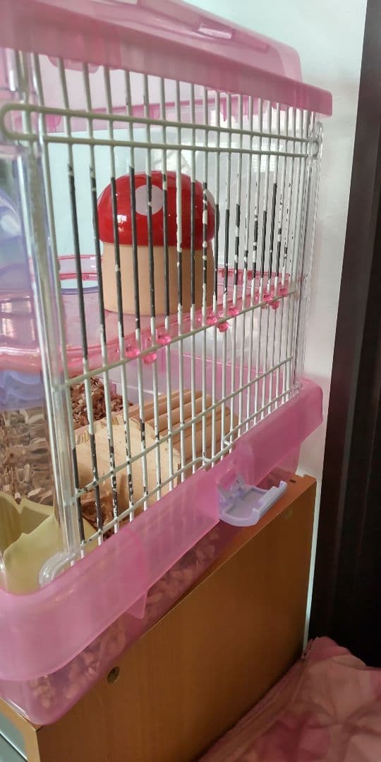 ハムスター飼育セット 移動ケージ付き