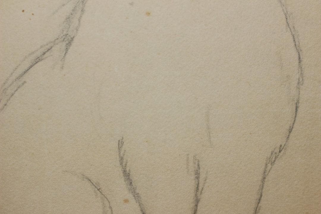 藤田嗣治 エスタンプリトグラフ「座る猫」 67/250