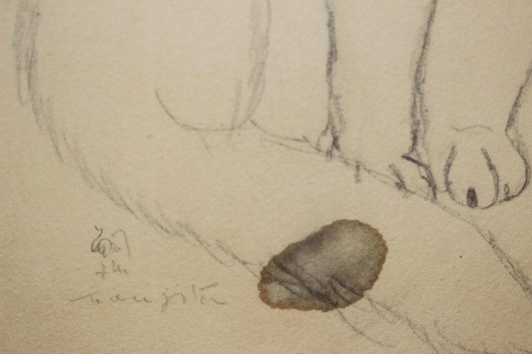 藤田嗣治 エスタンプリトグラフ「座る猫」 67/250