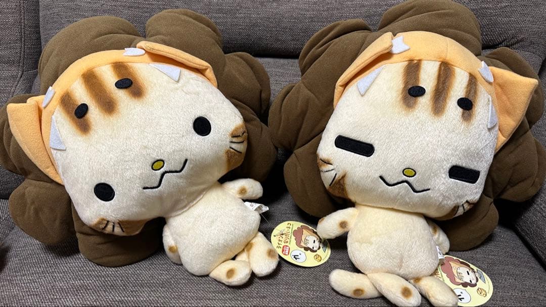 ライオンになりたいネコ　ぬいぐるみ