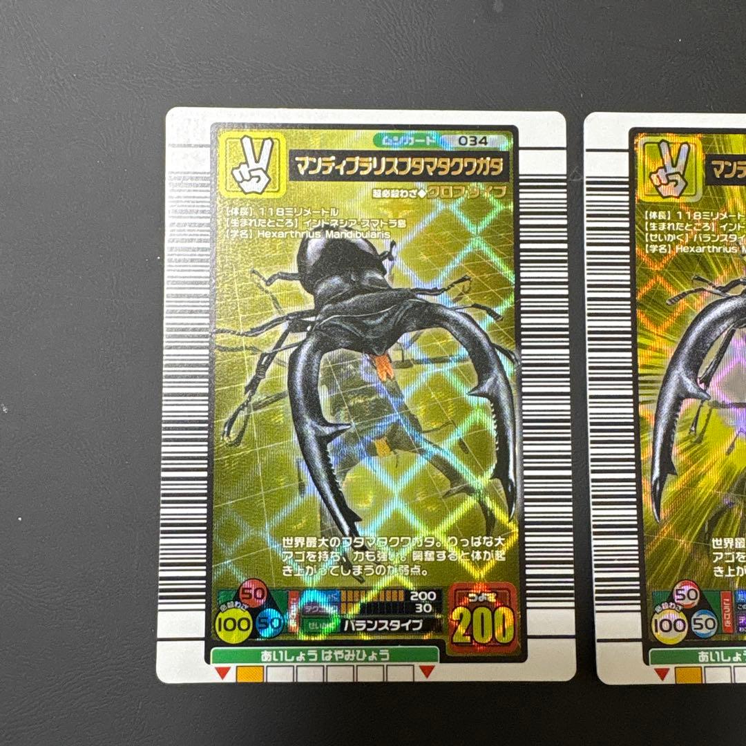 ムシキング　マンディブラリスフタマタクワガタ