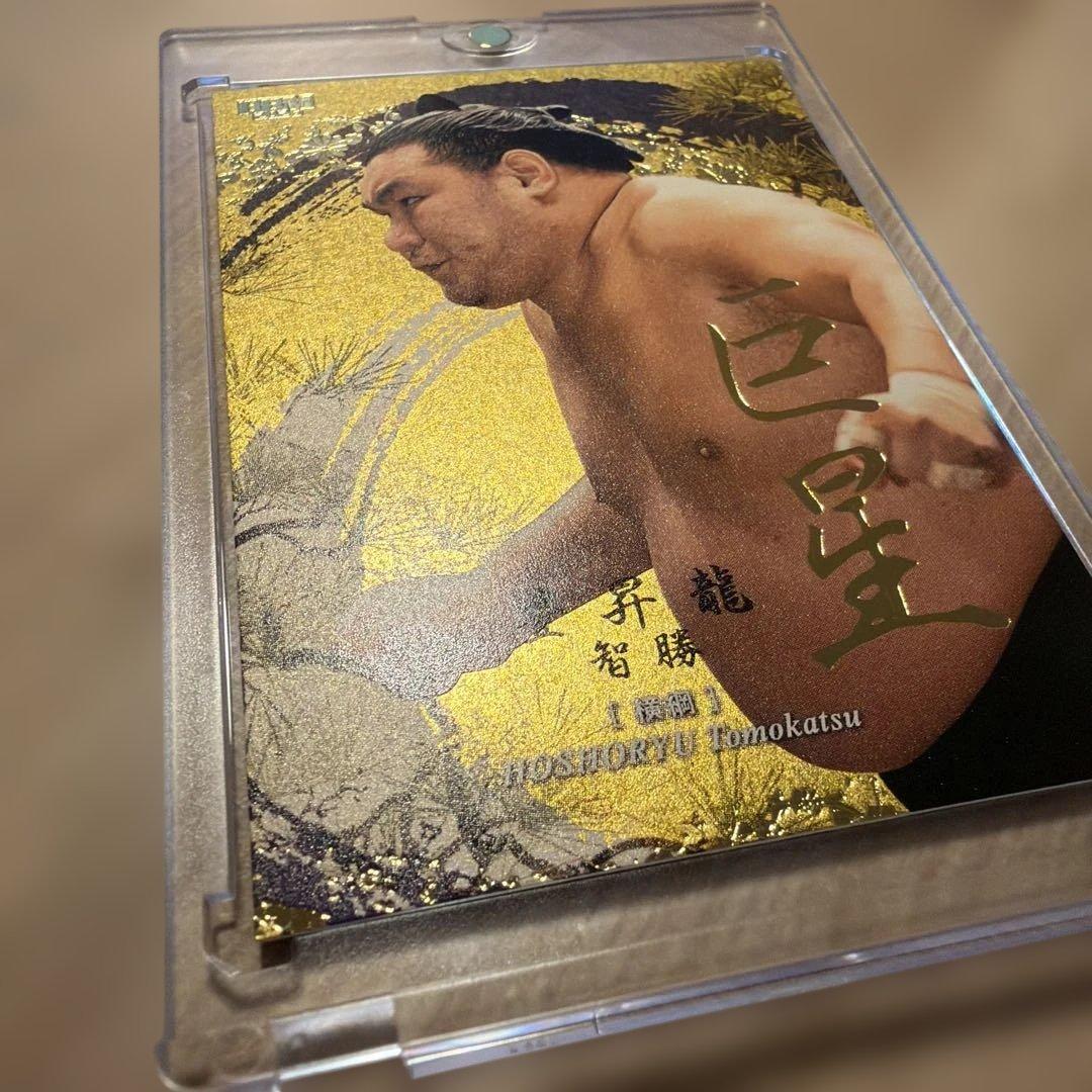 大相撲 BBM 2026 SUMO CARDS インサート 巨星　豊昇龍 智勝