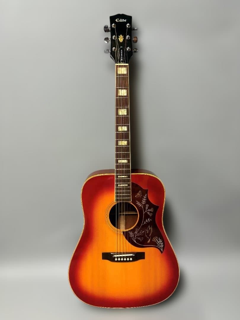 ケ*ジ様 ★タカミネ・ハミングバード！エリート・カスタム HM-25 超ジャキ鳴