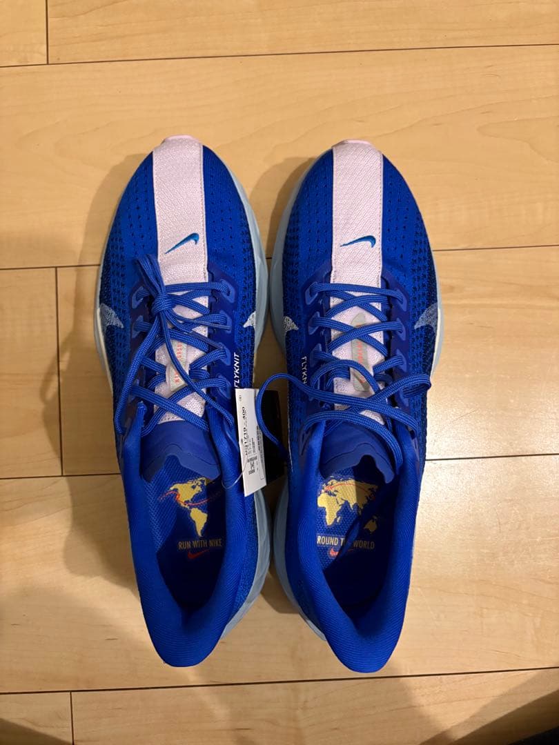 【新品未使用】NIKE ペガサスプラス 29.0cm 青
