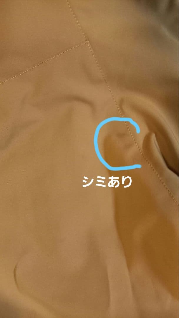 MIZUNOミズノ　希少カタログ外クルーモデル上下　サイズL