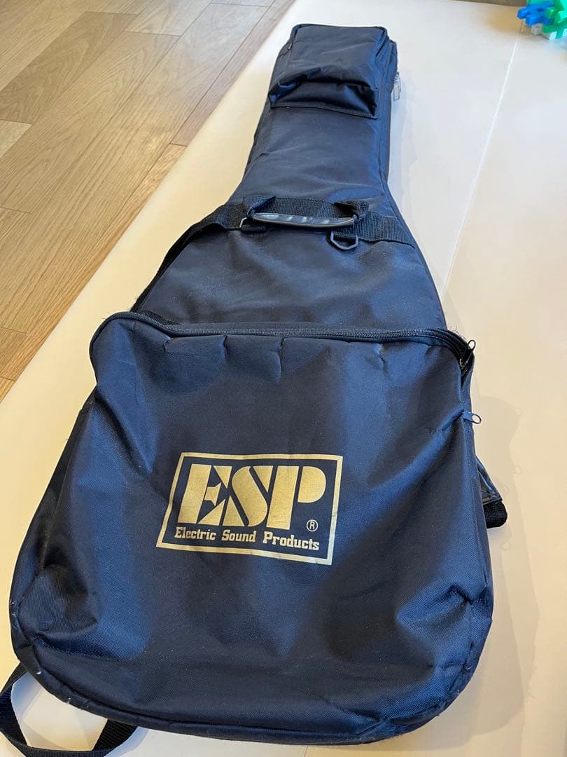 エレキギターおよびケース