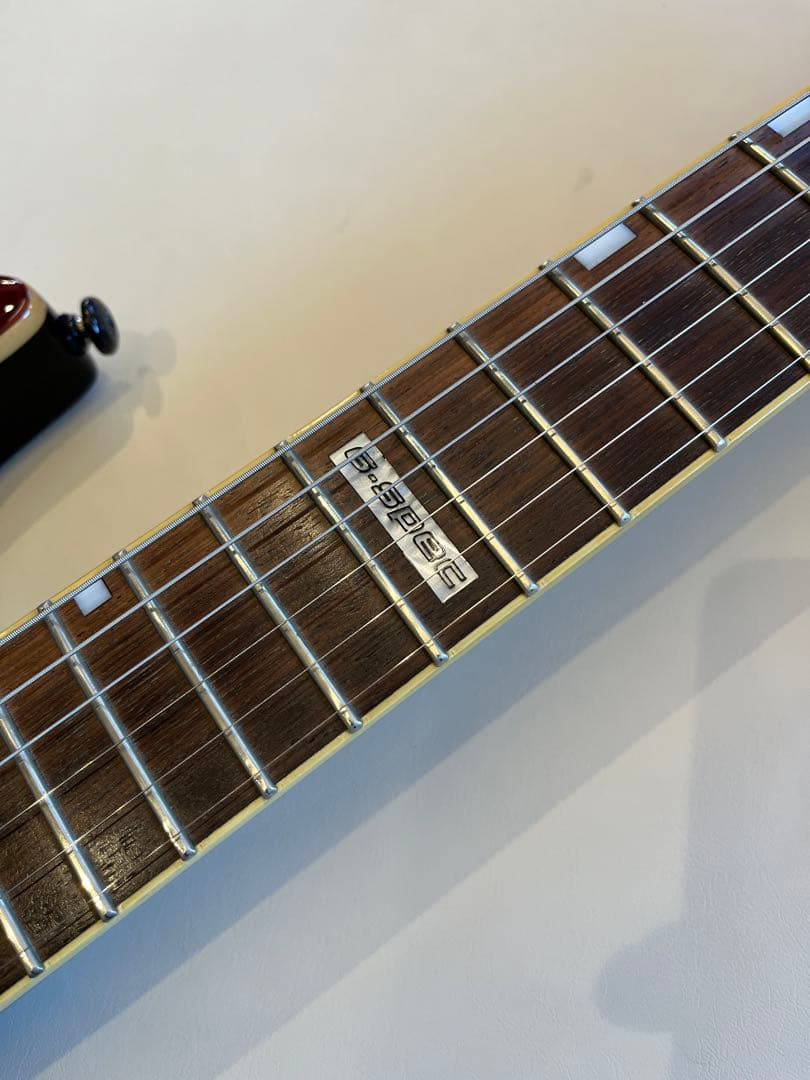 エレキギターおよびケース