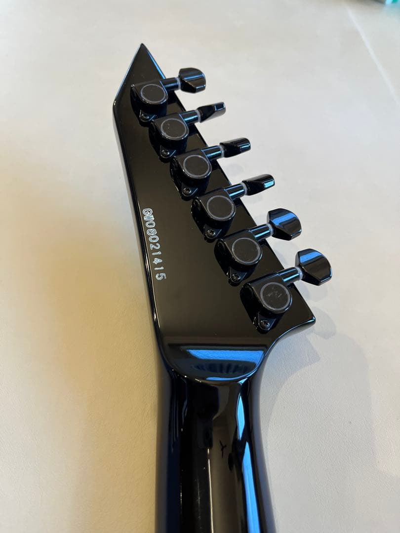 エレキギターおよびケース