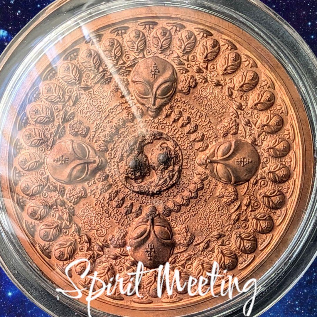 特別価格　御守り史上唯一の宇宙エネルギー　UFOエイリアン　貴重