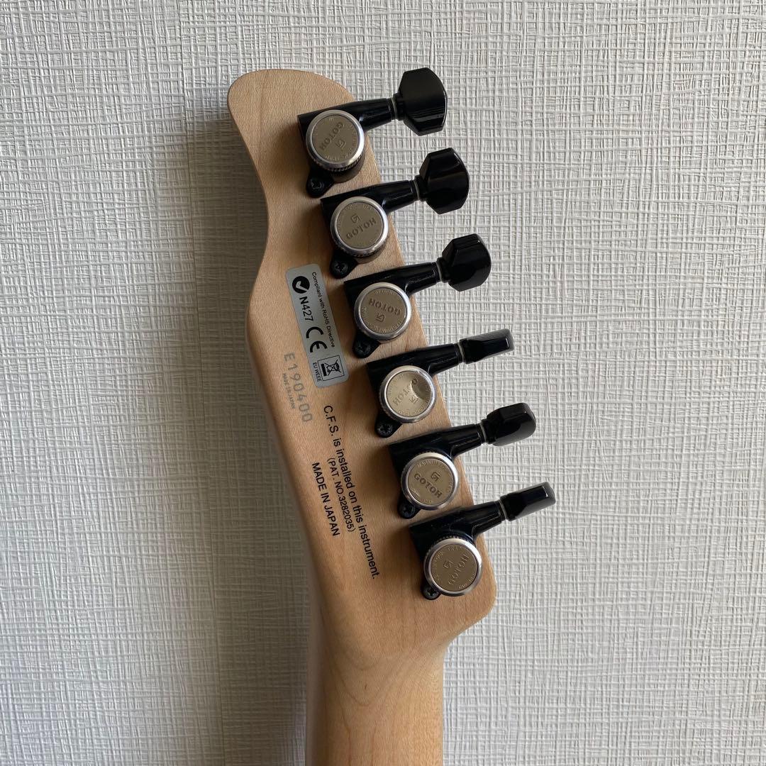 ギター JIL-ASH-DE-G FUJIGEN