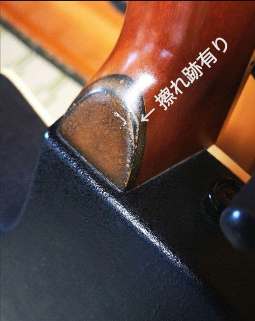 ♦️超レアギター♦️ ProMartin エレアコ EA350BLS ①