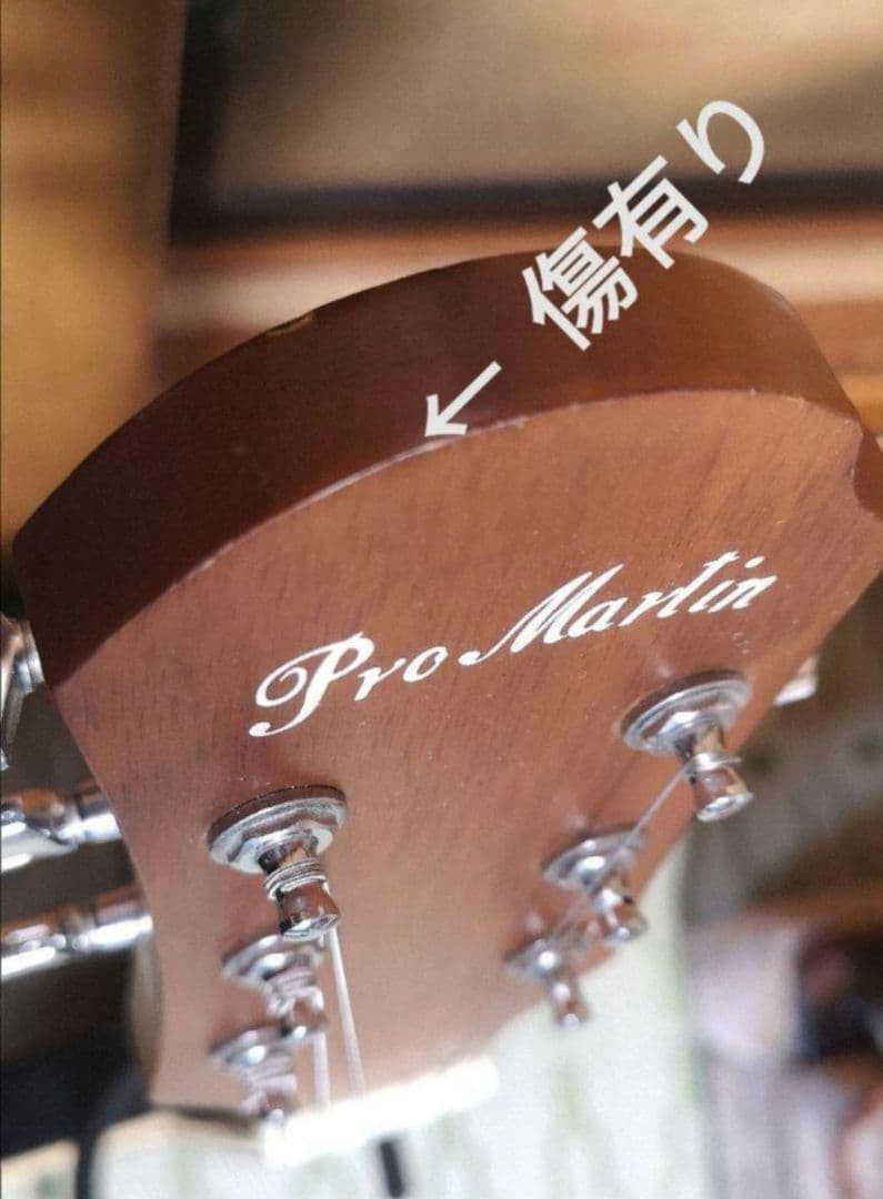 ♦️超レアギター♦️ ProMartin エレアコ EA350BLS ①