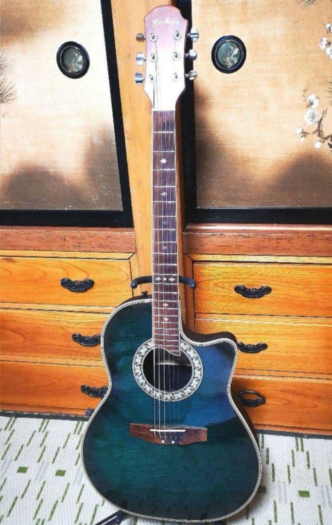 ♦️超レアギター♦️ ProMartin エレアコ EA350BLS ①