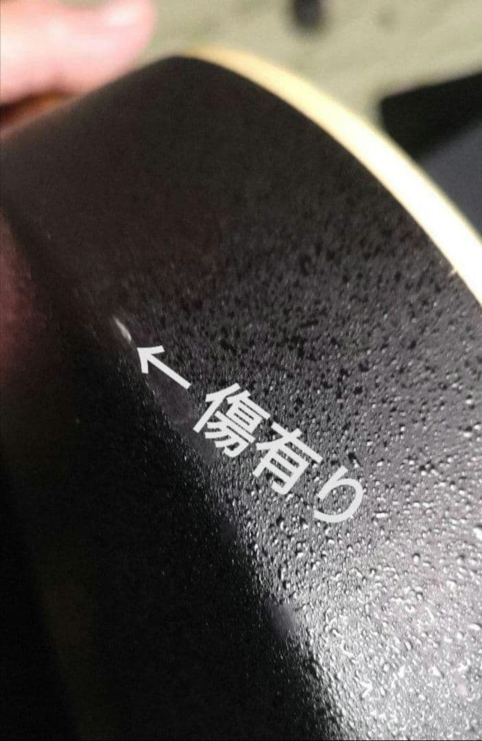 ♦️超レアギター♦️ ProMartin エレアコ EA350BLS ①