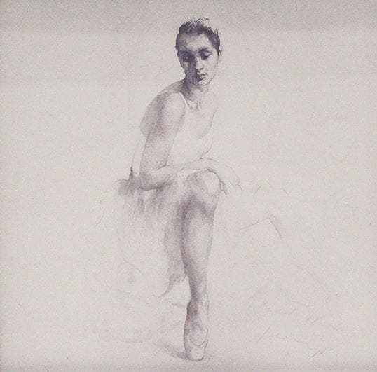 アートフレーム 2枚セット バレエダンサー 額絵 モダン 85064PI