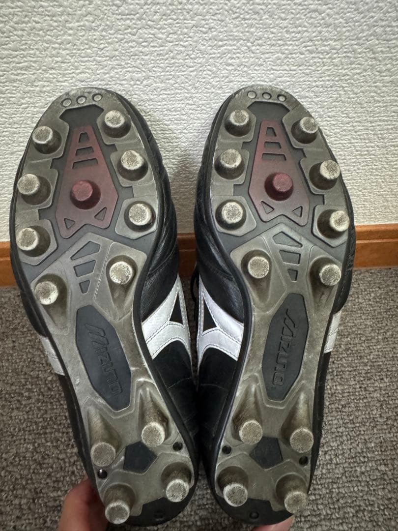 モレリア2 ロングタン