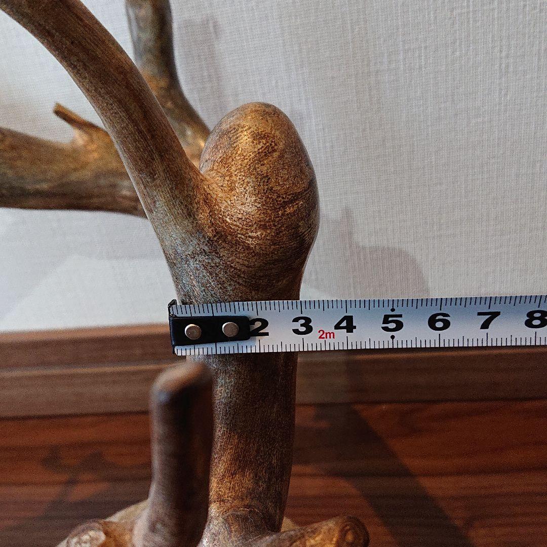 海松 深海松 レインボーコーラル 原木 珊瑚 希少