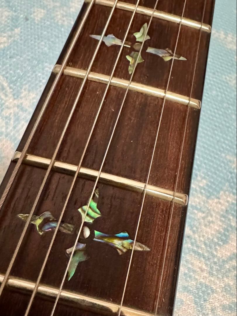 SCHECTER HELLRAISER C-1 EMG ピックアップ搭載モデル！