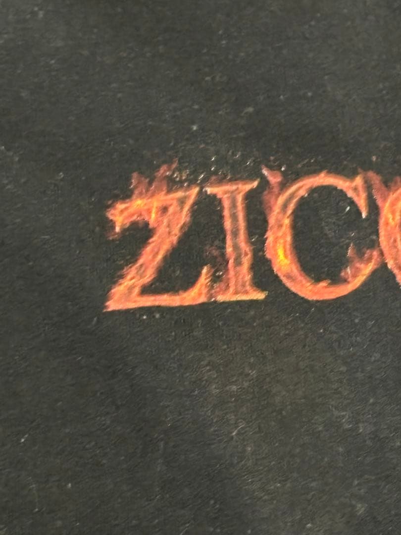 激レアS！ZICO King of the zungle ツアーパーカー黒