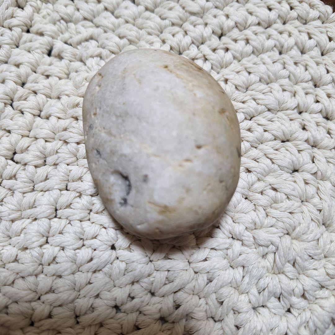 RCサクセション 忌野清志郎 ファミリーストーンツアー 非売品