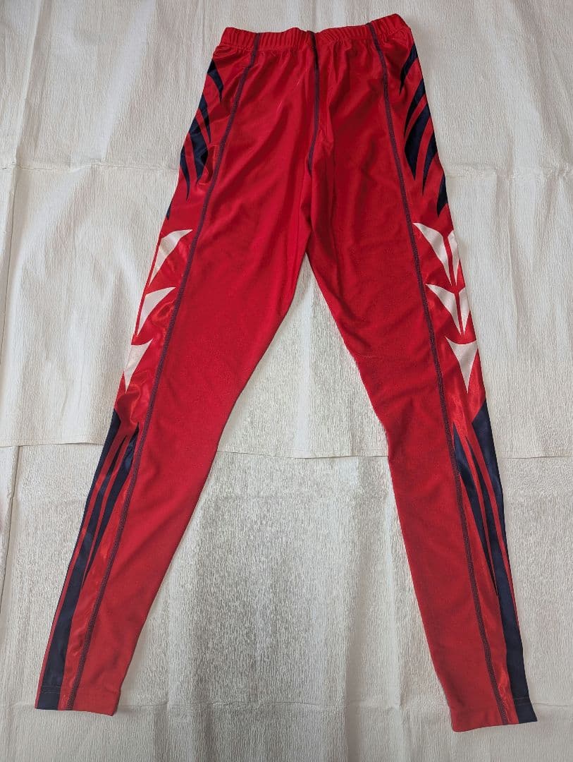 未使用　競技用　ツーピース　クロスカントリースキー　SWIX　 　Lサイズ