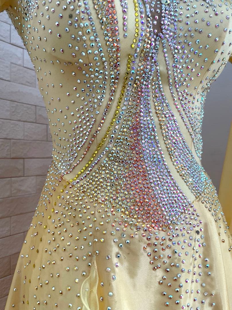 社交ダンス⭐️スタンダードドレス　オーダードレス　スワロフスキー