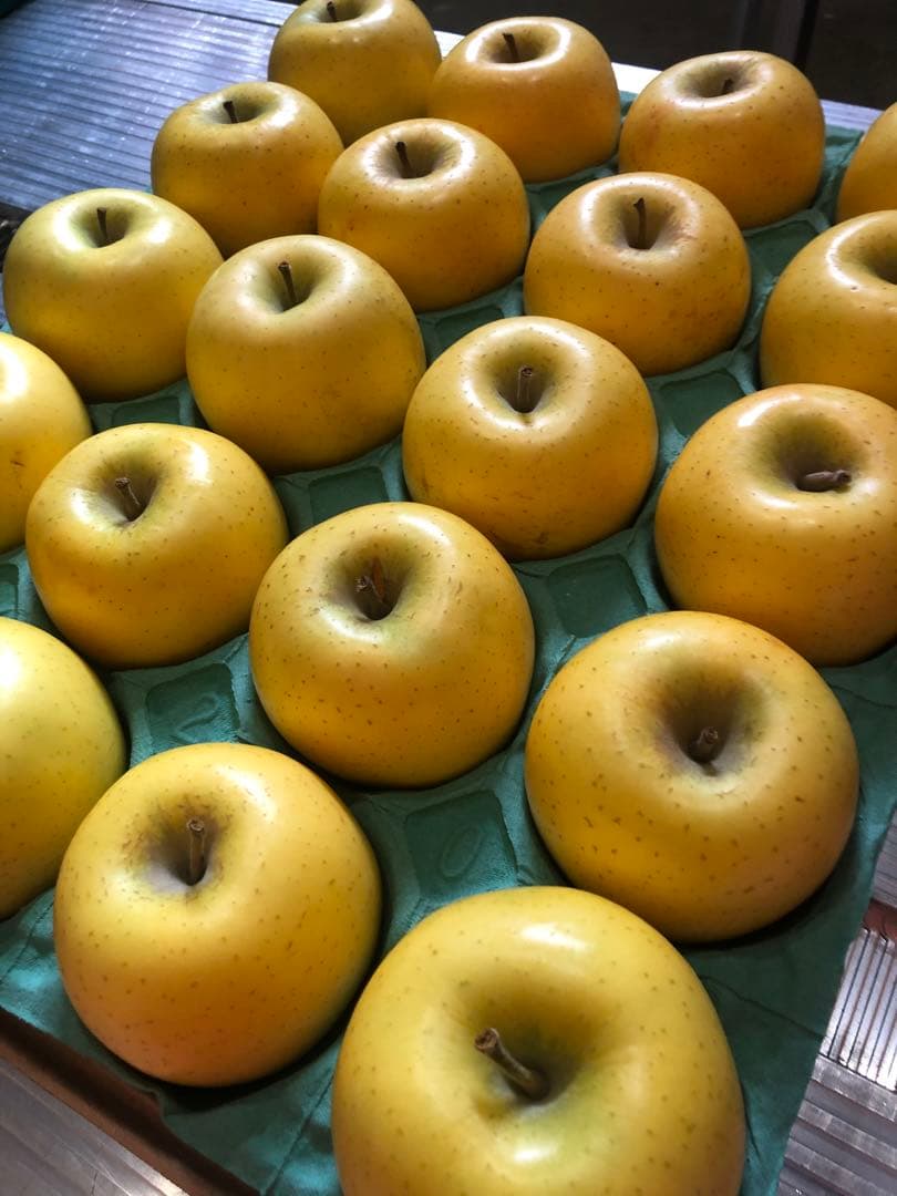 専用15キロ　九州