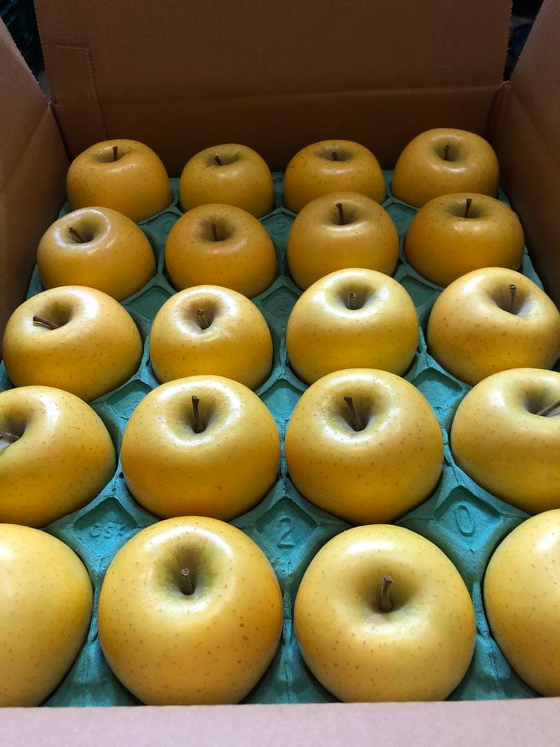 専用15キロ　九州