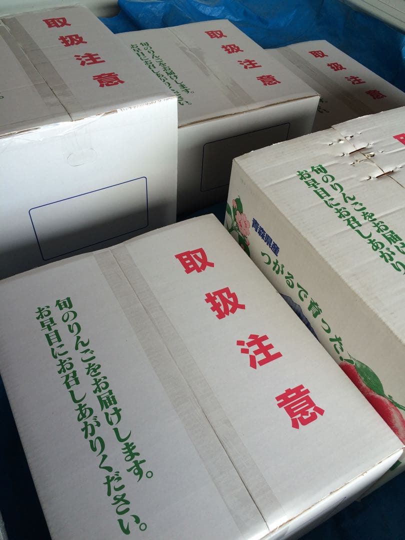 専用15キロ　九州