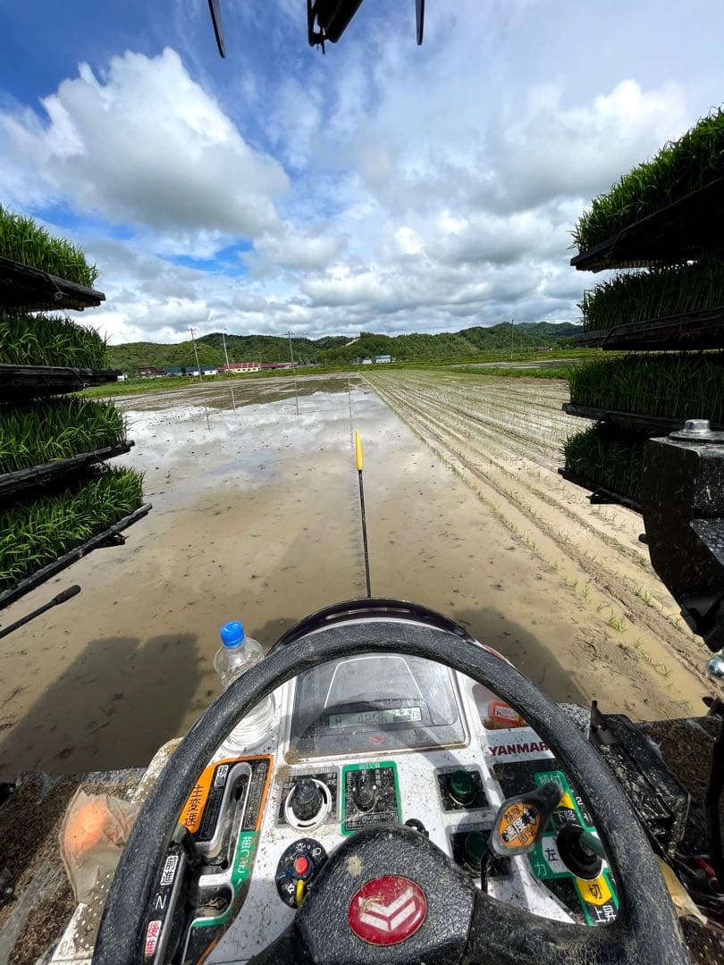 新米＊ゆめぴりか＊北海道産＊農家直送＊送料込み＊美味しいお米＊5キロ×2個