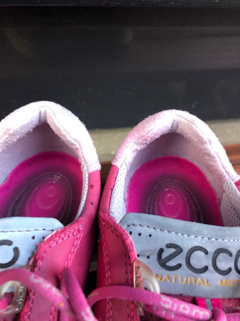 ECCOゴルフシューズ 36 23.0cm紐式 スパイクレス